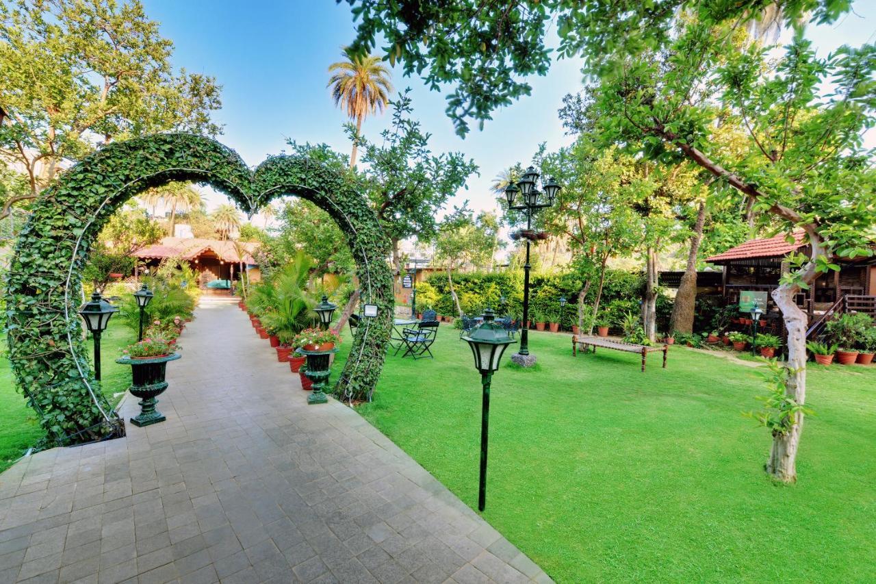 Chacha Inn The Garden Retreat Маунт-Абу Экстерьер фото